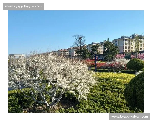 威海：我的第二故乡，一座被阳光洗净的精致之城