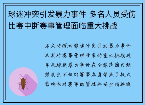 球迷冲突引发暴力事件 多名人员受伤比赛中断赛事管理面临重大挑战