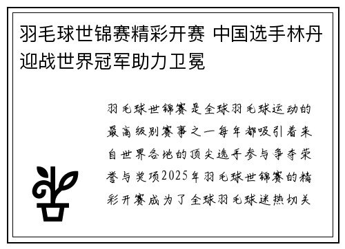 羽毛球世锦赛精彩开赛 中国选手林丹迎战世界冠军助力卫冕